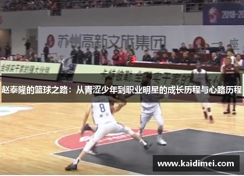 赵泰隆的篮球之路：从青涩少年到职业明星的成长历程与心路历程